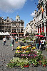 Image showing Flower Market in Brussels