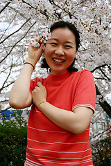 Image showing Spring in Korea