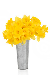 Image showing Daffodil Flower Beauty