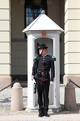 Image showing Soldier in Norway