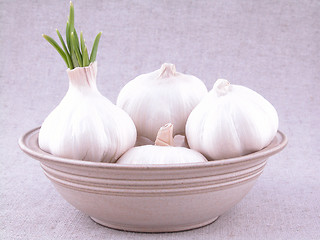Image showing garlic