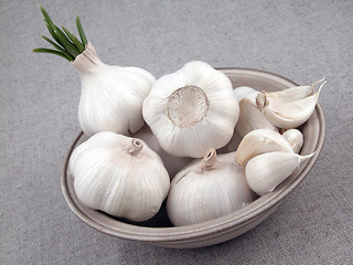 Image showing garlic