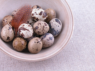 Image showing quail eggs