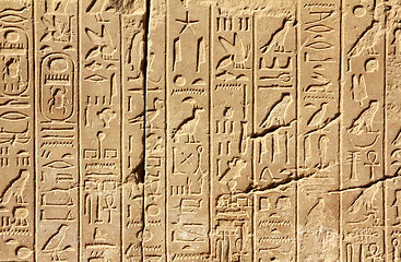 Image showing ancient egypt hieroglyphics on wall