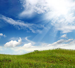 Image showing green grass hill