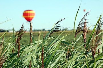 Image showing Hot Air Balloon