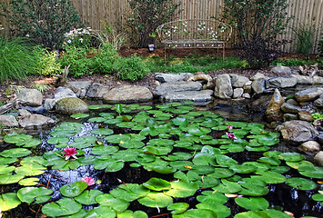 Image showing Residential landscaped garden