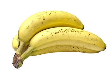 Image showing Bananas isolated on white