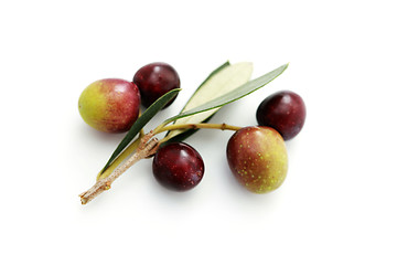Image showing olive branch