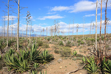 Image showing Andalusia