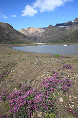 Image showing Iceland - National Park