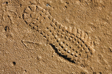 Image showing Mud track