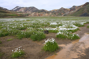 Image showing Iceland