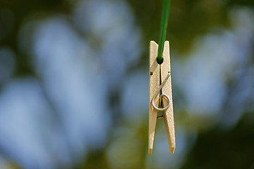 Image showing Clothespin