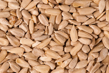 Image showing Sunflower seeds