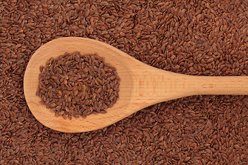 Image showing Linseed