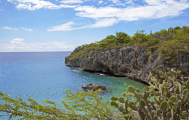 Image showing Turquoise Curacao