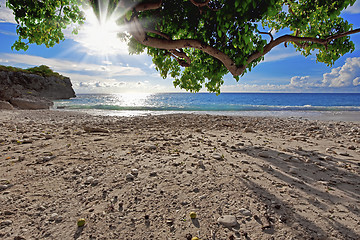 Image showing Curacao beach