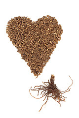 Image showing Valerian Herb Root