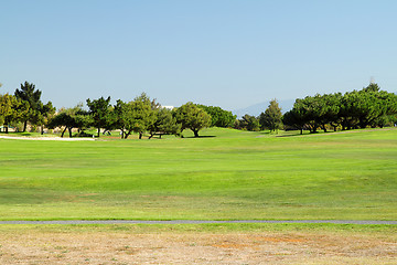 Image showing Gold club field