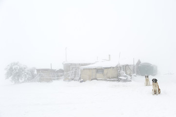 Image showing Lonely building 