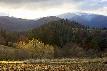 Image showing Autumn in Carpathian Mountains