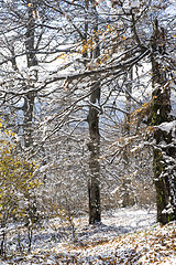 Image showing Winter landscape