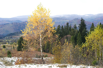 Image showing Autumn in Carpathian Mountains