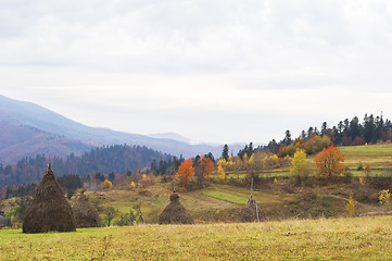 Image showing Carpathians mountain in autumn