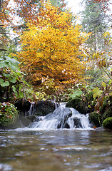 Image showing Carpathian Mountains in autumn