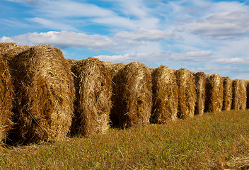 Image showing haystacks in the field