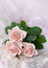 Image showing Pink roses on wedding lace (copy space)