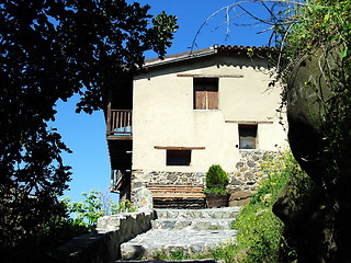 Image showing Through the trees. Kakopetria. Cyprus