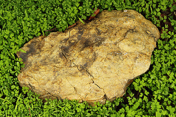 Image showing A rock among grass