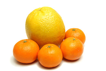 Image showing Orange and mandarins isolated