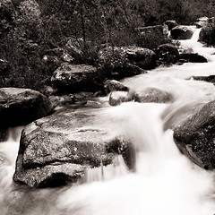 Image showing Mountain River 