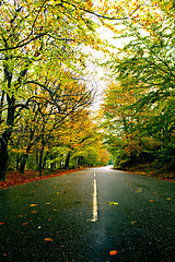 Image showing Beautiful road