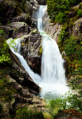 Image showing Water Spring