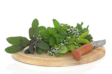 Image showing Chopped Herbs