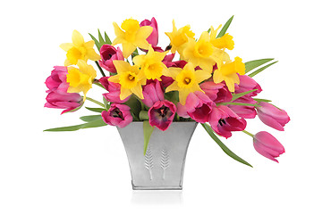 Image showing Tulip and Daffodil Beauty