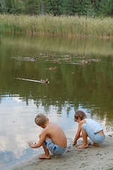 Image showing kids feeding ducks