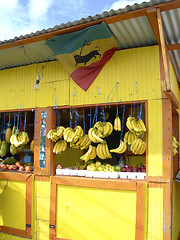 Image showing produce fruit stand Scarborough Trinidad and Tobago