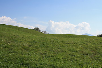 Image showing Field of green