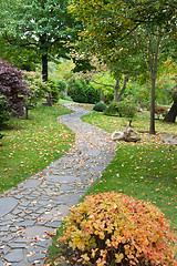 Image showing Path from stone in autumn park