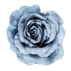 Image showing Blue fabrics rose