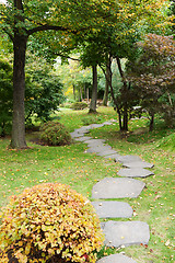 Image showing Path from stone in autumn park