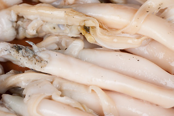 Image showing Razor clams