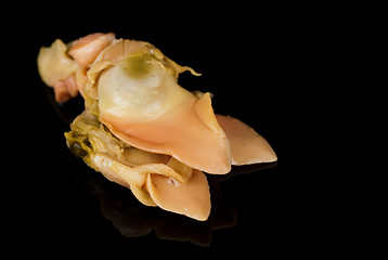 Image showing Red clam