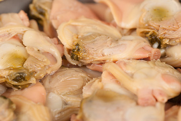 Image showing Red clams