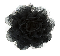 Image showing Black flower rose from lace